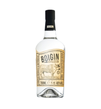 Boigin